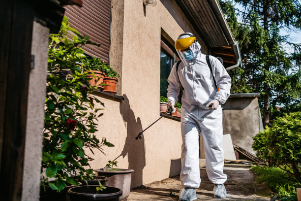 Best Affordable Pest Control Services  in Clarkston, WA