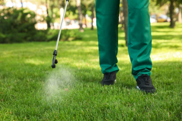 Best Local Pest Control Services  in Clarkston, WA